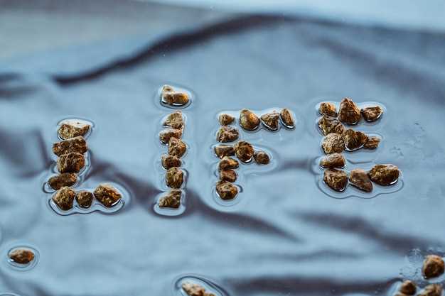 Рейтинг производителей на основе отзывов аквариумистов