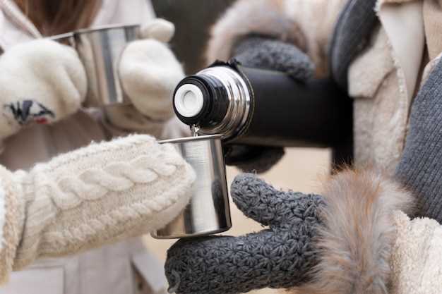 Термос Арктика: выбор по материалам и конструкции