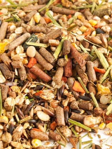 Рекомендации по переходу на новый корм для бигля