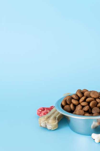 Как выбрать корма с учетом хронических заболеваний