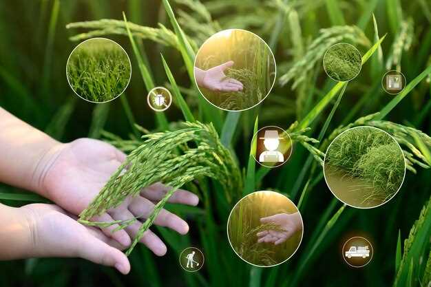 Стратегии обеспечения продовольственной безопасности в условиях глобальных вызовов