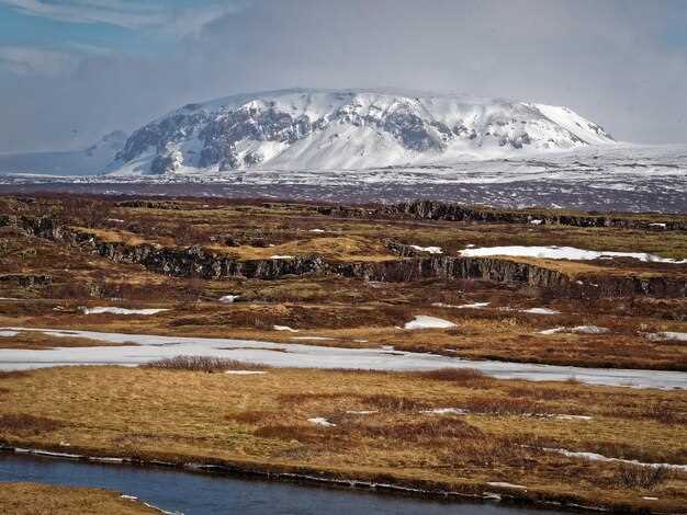 Климатические особенности альпийской тундры и их влияние на экосистему