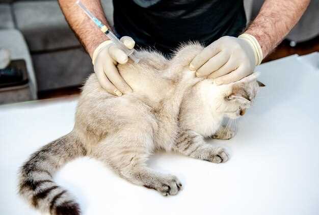 Классификация анестетиков: ингаляционные и неингаляционные препараты