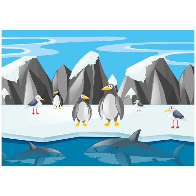 Путешествия в Антарктику: как туристы могут способствовать охране природы