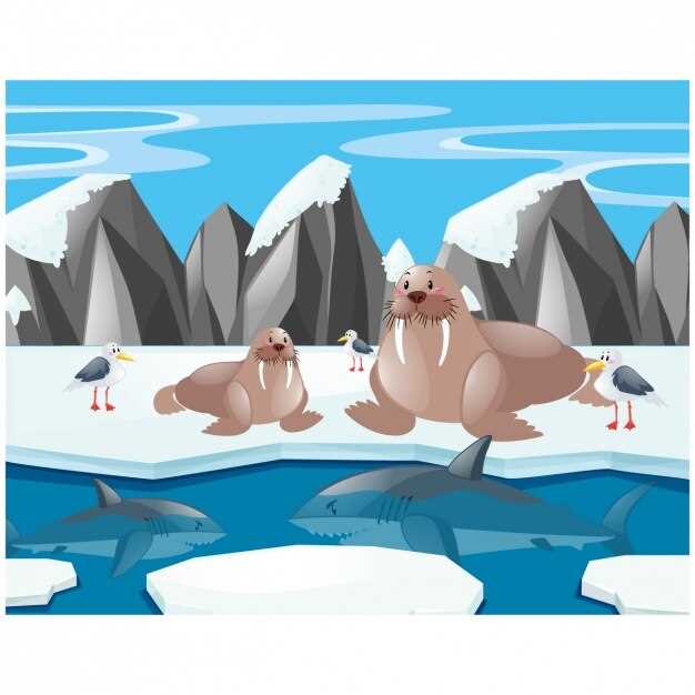 Антарктические заповедники: Охрана дикой природы и экосистем