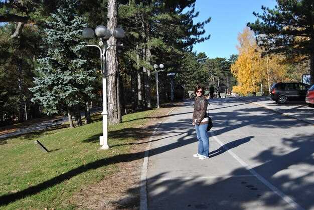 Практические идеи для начинающего апсайклинга в городской среде