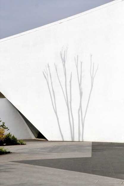 Проектирование зданий с учетом микроклимата региона