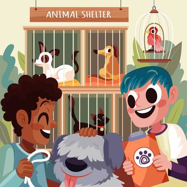 Правила ухода и содержания экзотических питомцев