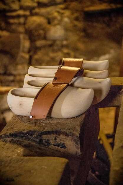 Образование и apprenticeships средневекового сапожника