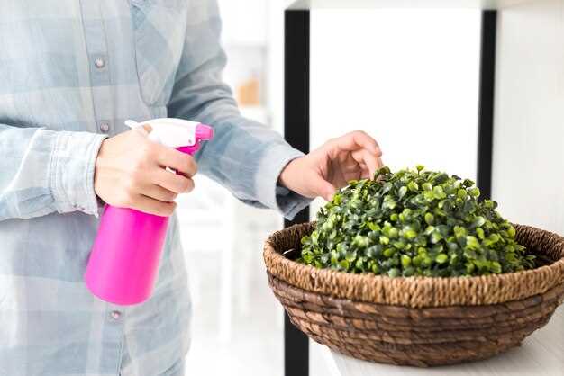 Натуральные средства для очистки салона: что выбрать