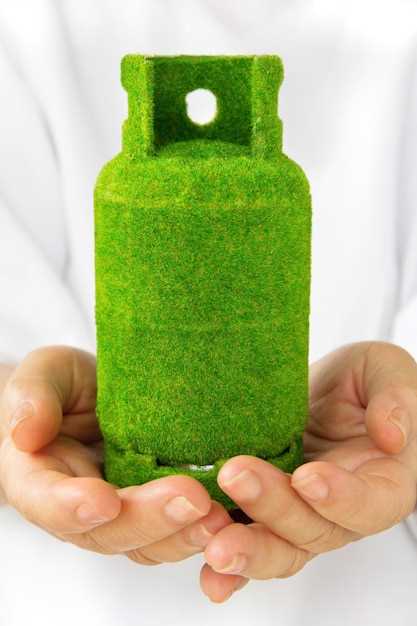 Биотопливо и права человека: современный контекст