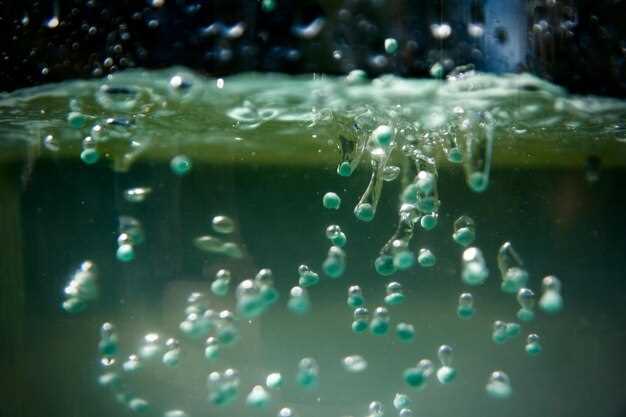 Новые подходы и будущее биотоплива из водорослей