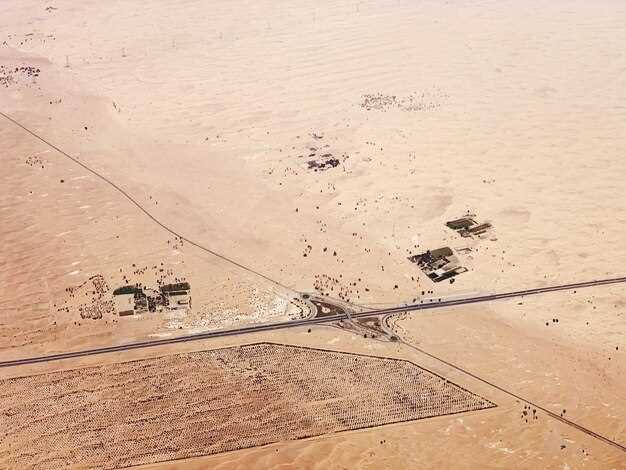 Причины и факторы арабско-израильского конфликта