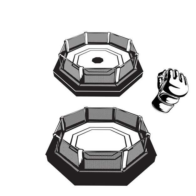 Экспериментальный бокс: инновации и будущее спорта