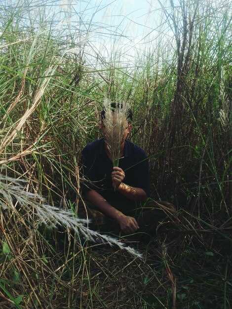 Методы предотвращения и контроля эрозии почвы