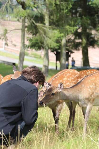 Брачное поведение животных: особенности и ритуалы