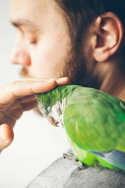 Интересные факты о брачных играх: что удивляет в поведении животных?