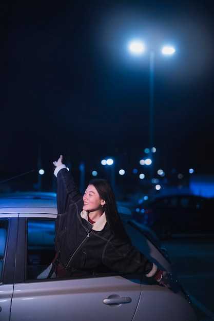 Как выбрать брызговики с отражателями для легковых авто