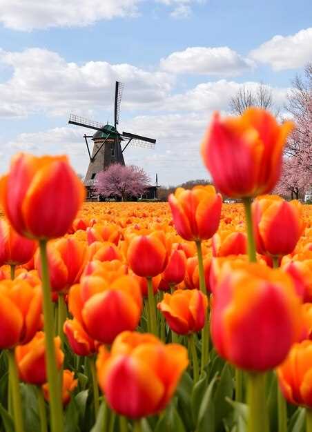 Социальные и культурные изменения как результат буржуазной революции