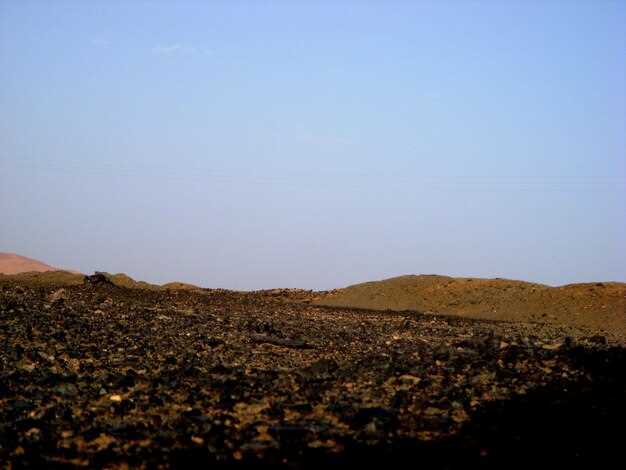 Где находятся чернозёмы и их роль в сельском хозяйстве