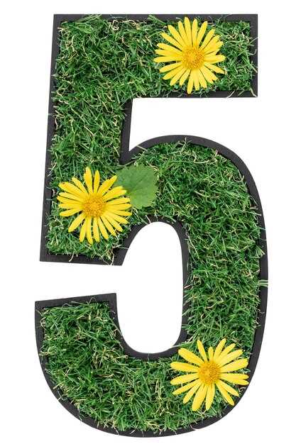 Символизм числа 5 и его связь с приключениями и новыми открытиями