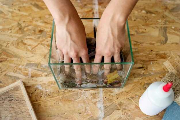 Уход за аквариумом для начинающих: шаги по регулярной чистке