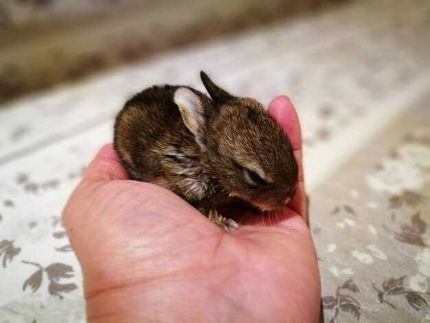 Размножение: особенности и рекомендации