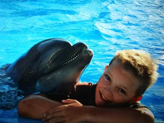 Дельфины: Умные млекопитающие океана