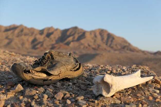 Экологические аспекты эксплуатации пустынных ископаемых