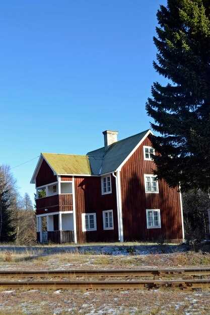 Выбор древесины для строительства дома: что важно знать