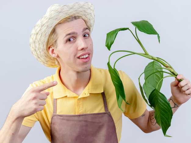 Выбор типа посадки для элементов механизмов больших габаритов