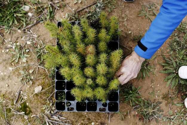 Контроль качества и соответствия допусков при обработке крупных изделий