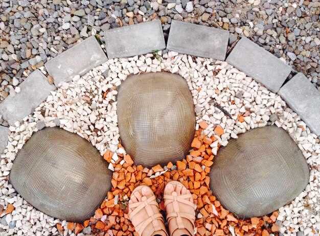 Изучаем формы садовых дорожек: классические и современные идеи