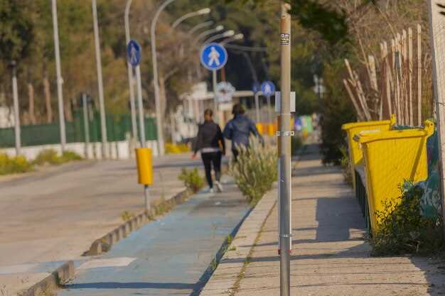 Роль дорожных знаков в формировании безопасной городской инфраструктуры