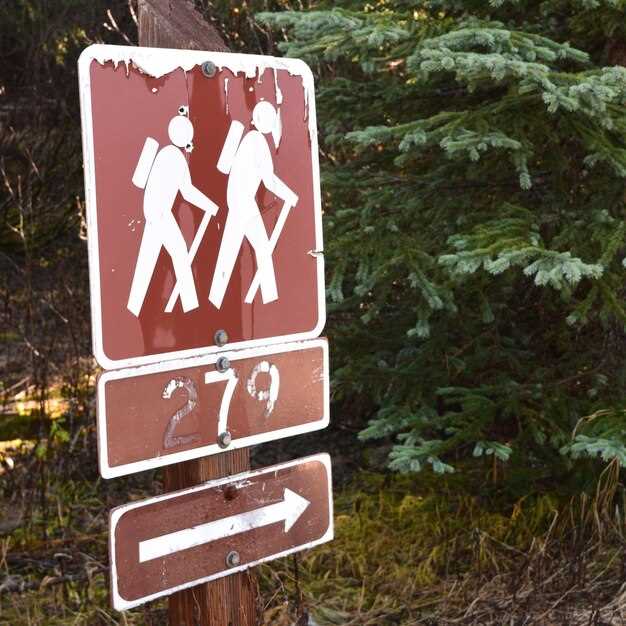 Дорожные знаки в разных странах: уникальные особенности и их влияние на безопасность туристов