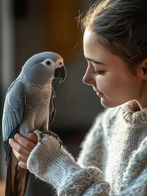 Ошибки, которых следует избегать при дрессировке говорящих попугаев