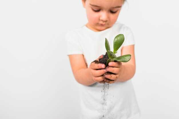 Роль родителей и образовательных учреждений в формировании экологической ответственности у детей