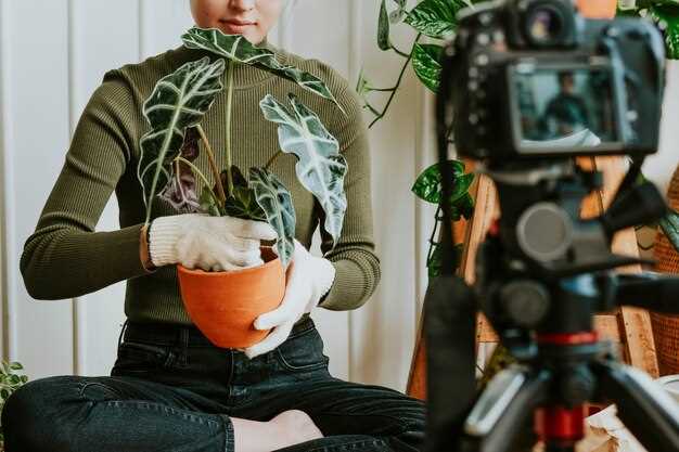 Методы снижения углеродного следа на съемочных площадках