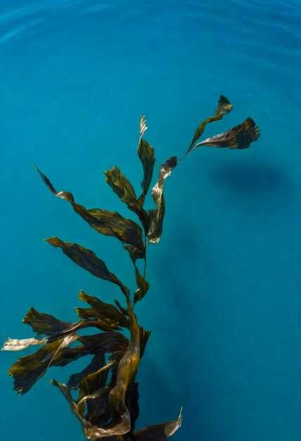 Влияние рыб на биологическое разнообразие водоемов