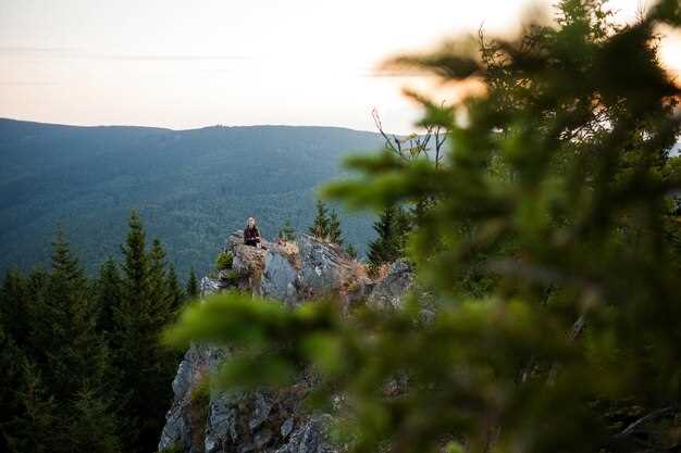 Как выбрать отдых на природе в Алтае для всей семьи