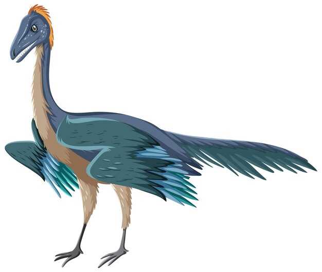 Стадии эволюции полета у птиц и их адаптации к окружающей среде