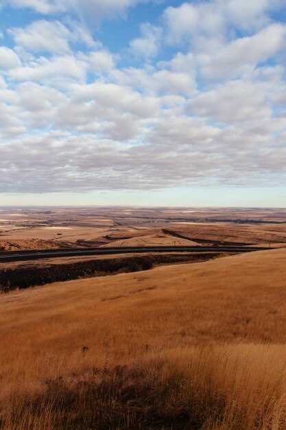 Где расположены степи и их экологические особенности