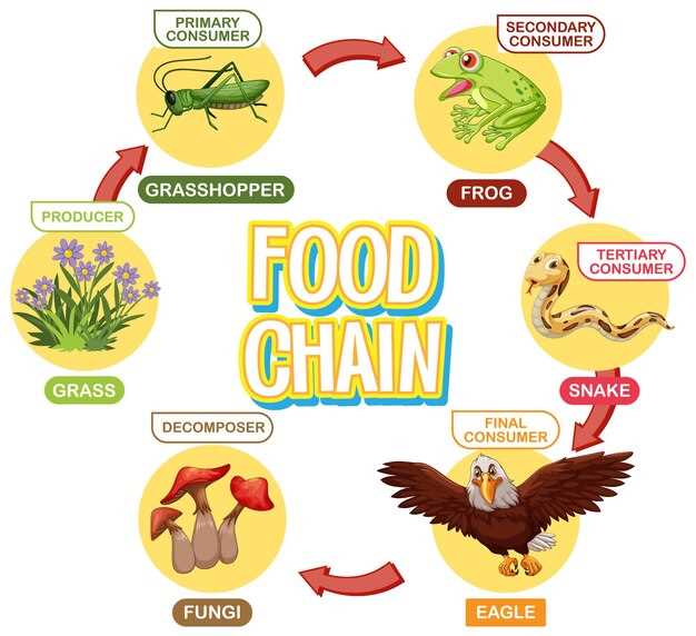 Функции органов и систем птиц