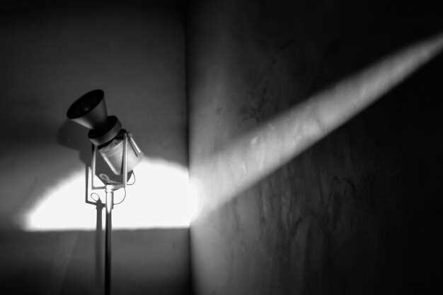 Фотожурналистика катастроф: деликатные практики и профессиональные стандарты