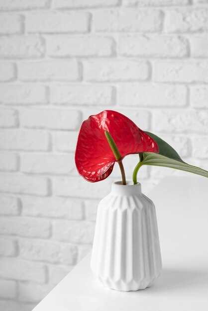 Тренды и советы по декорированию интерьера с акцентом на фактуры