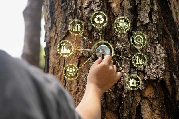 Нефтяные и газовые месторождения: влияние на экономическое развитие стран