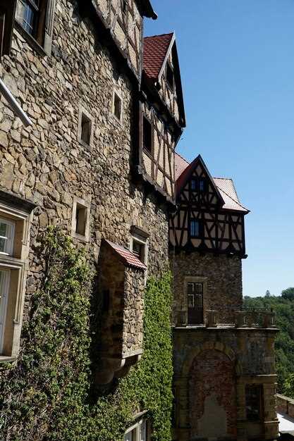 Социальная и экономическая структура гильдий в Средневековой Европе