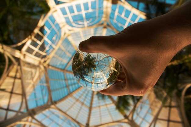 Инновации в устойчивом развитии: примеры и практические решения