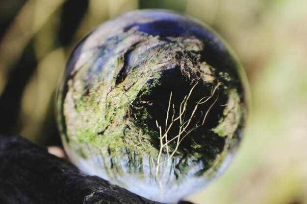 Репродуктивные стратегии видов в условиях климатических изменений