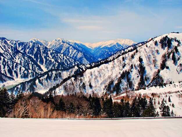 Топ-5 лучших лыжных курортов Японии для новичков и профессионалов